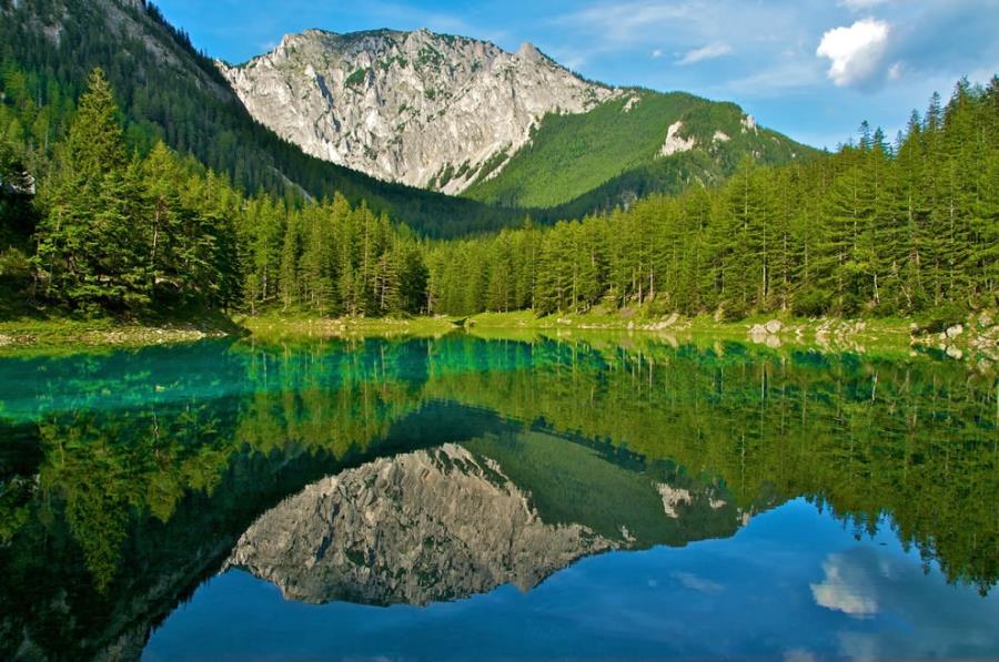 دریاچه سبز اتریش