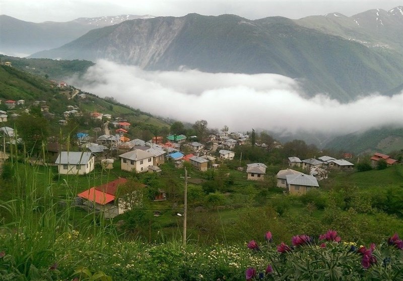 جنگل های دالخانی