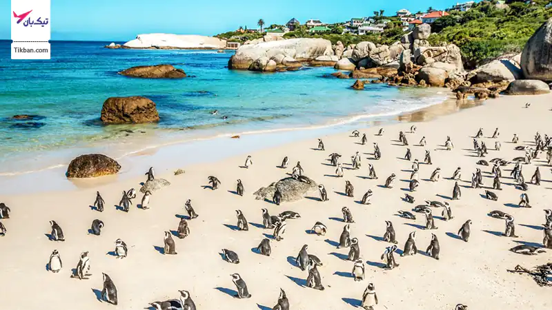 ساحل بولدرز آفریقا