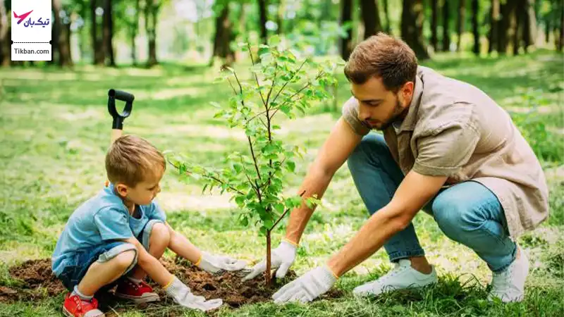 سنت درختکاری