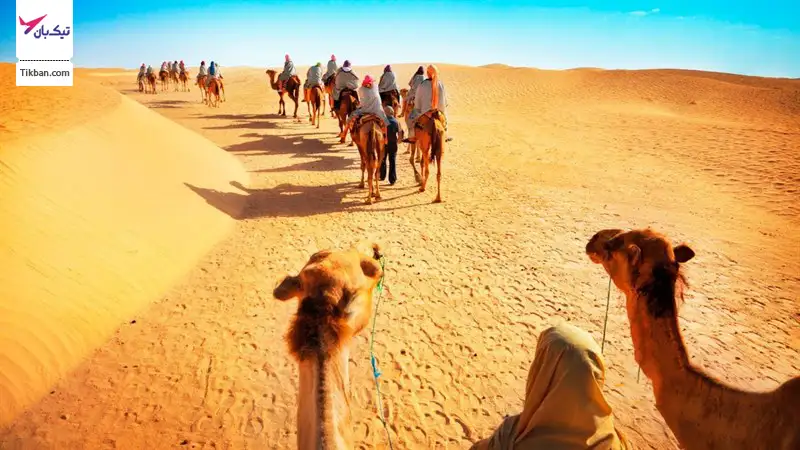 تور سافاری دبی