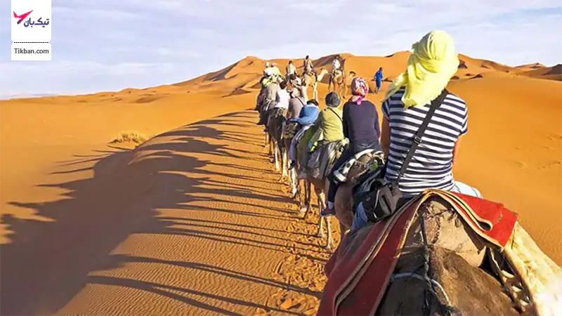 سافاری پارک کیش