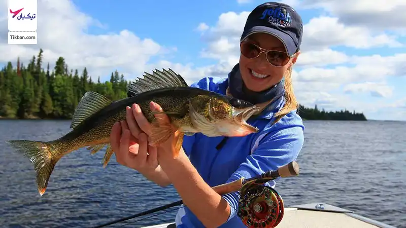 ماهیگیری در جنگل ردوود