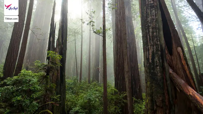 پارک ایالتی هومبالت