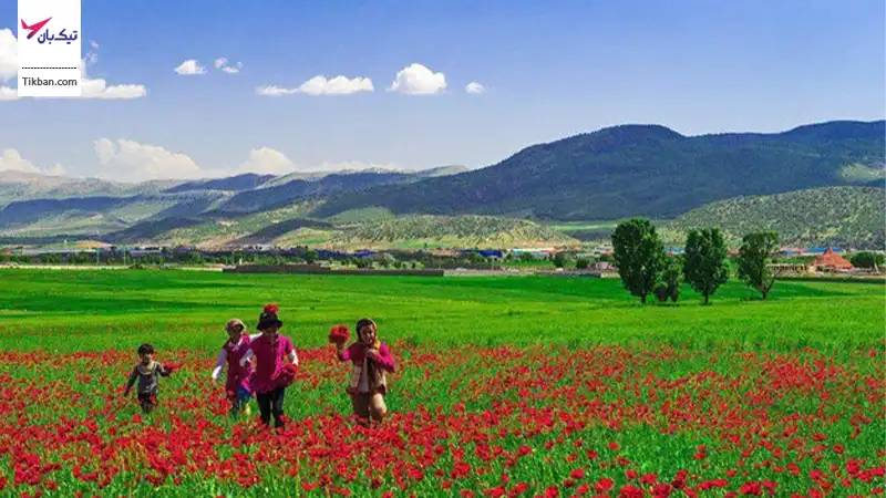 کوهستانهای زاگرس