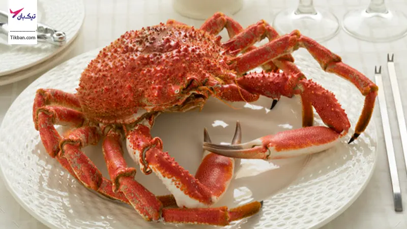 خرچنگ عنکبوتی، گران ترین غذاهای دبی