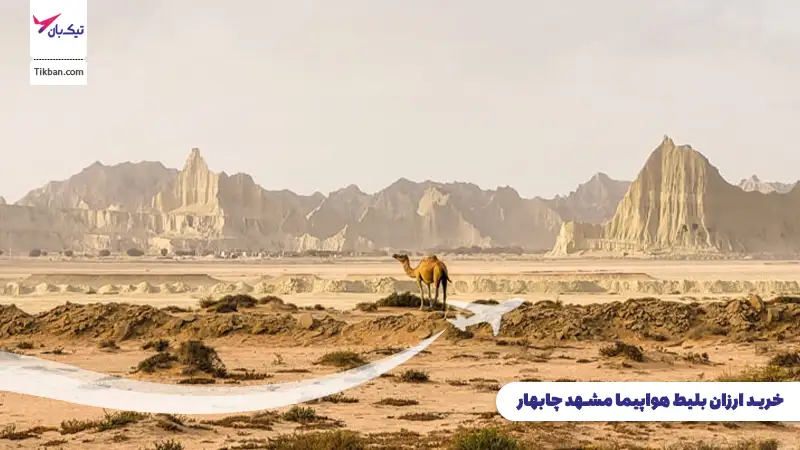 خرید بلیط هواپیما مشهد چابهار