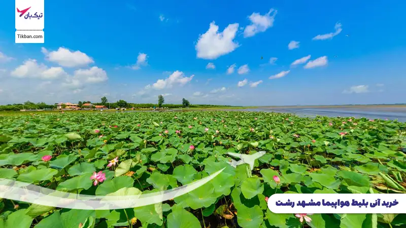 خرید بلیط هواپیما مشهد رشت
