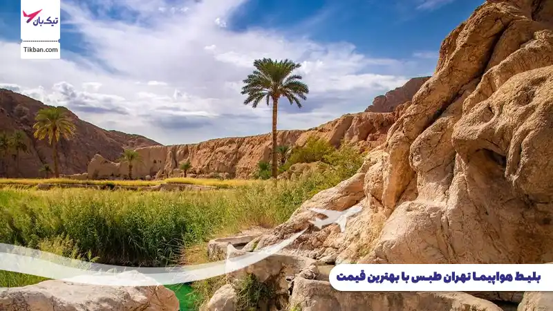 بلیط هواپیما تهران طبس