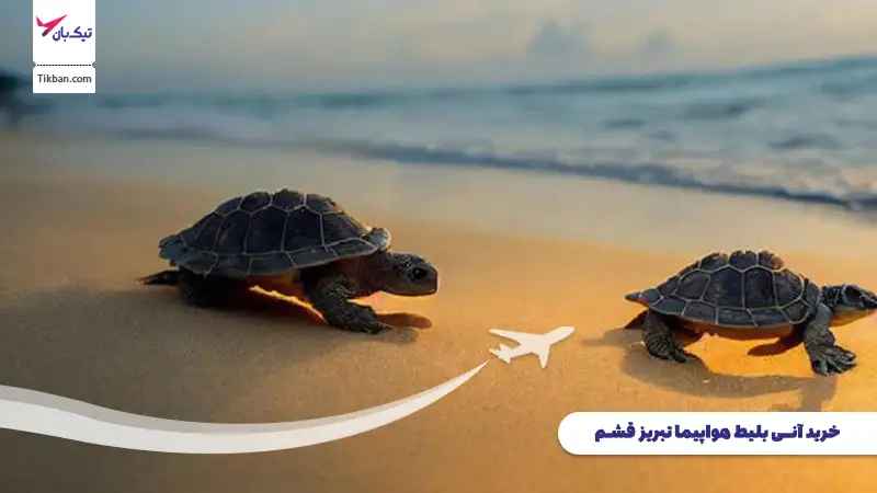 خرید بلیط هواپیما تبریز قشم
